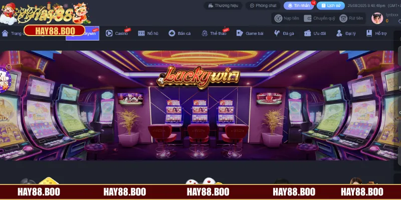 Một số nguyên tắc khi sử dụng dịch vụ cá cược của đơn vị