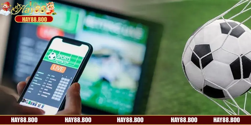 Một vài thông tin cần biết về loại hình kèo tỷ số