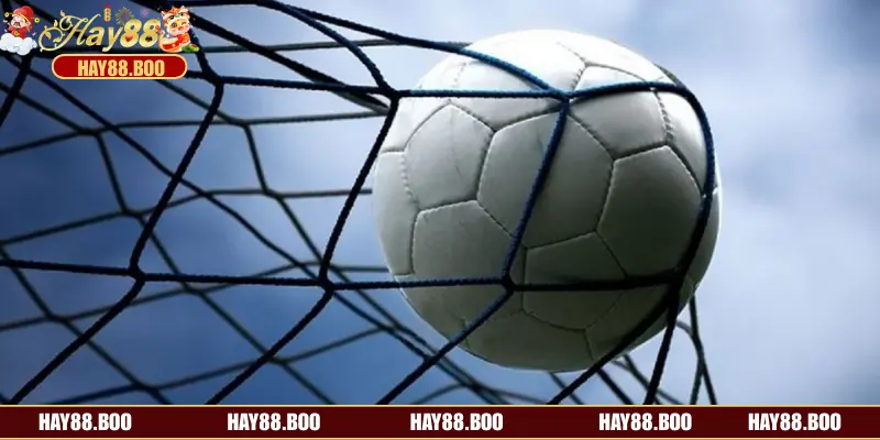 Nhà cái HAY88 cung cấp rất nhiều tỷ lệ kèo rung khác nhau